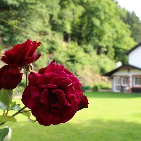 Pension Muscher Bahnhof Blankenheim  Kültér fotó